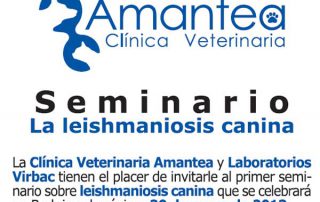 seminario-clinica-amantea