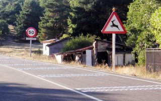 accidentes-trafico-3