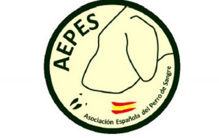 aepes-logo