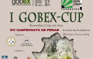 Cartel-Gobex-Cup-noticia