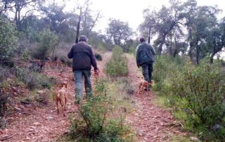 Cazadores-caminando