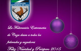 Crhistmas-web-fedexcaza-14-15