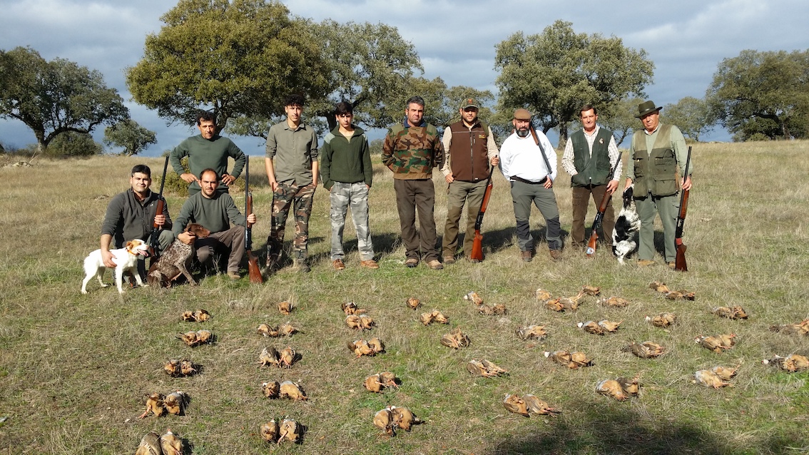 Nuevas normas para cacerías de zorros - Fedexcaza