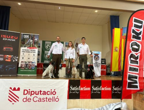 Orgullo Extremeño en el XLII Campeonato de España de San Huberto 2024